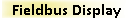 Fieldbus Display